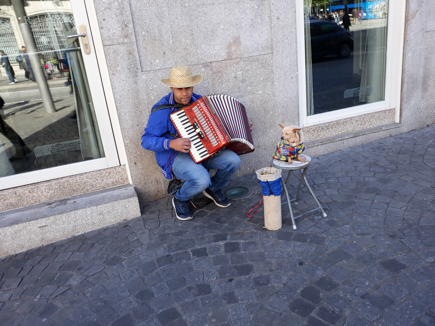 Straßenmusiker mit Hund in Porto