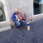 Straßenmusiker mit Hund in Porto