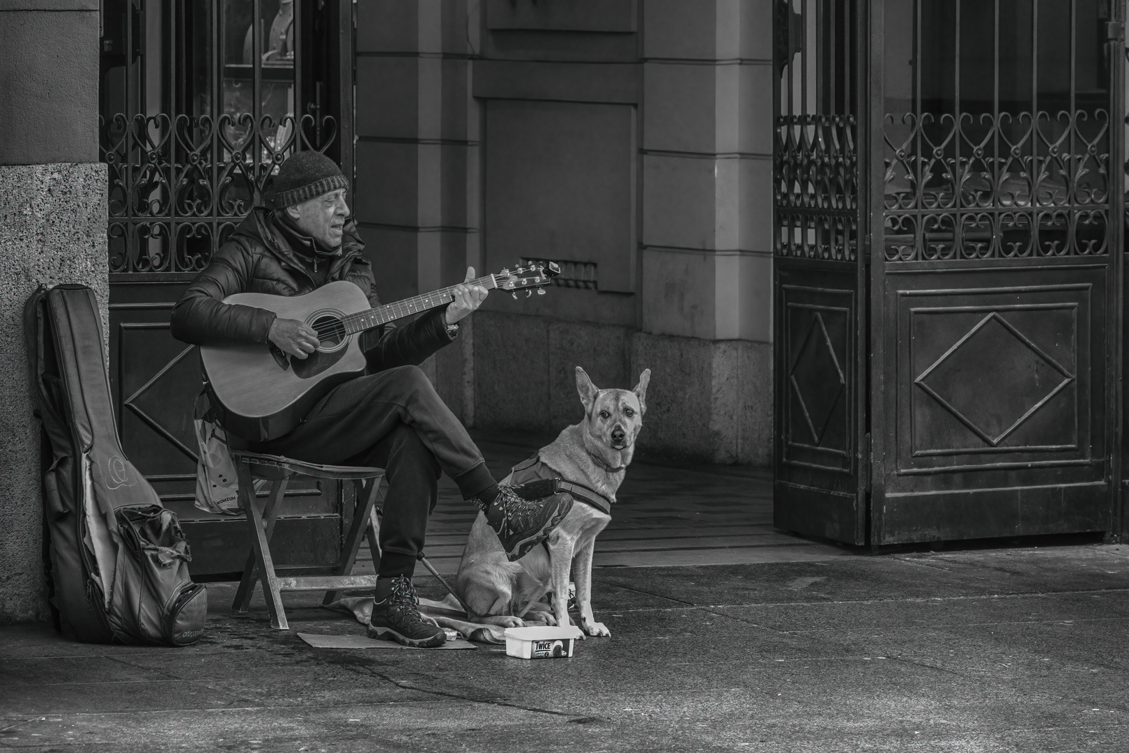 Straßenmusiker und sein Hund