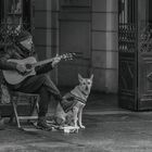 Straßenmusiker und sein Hund