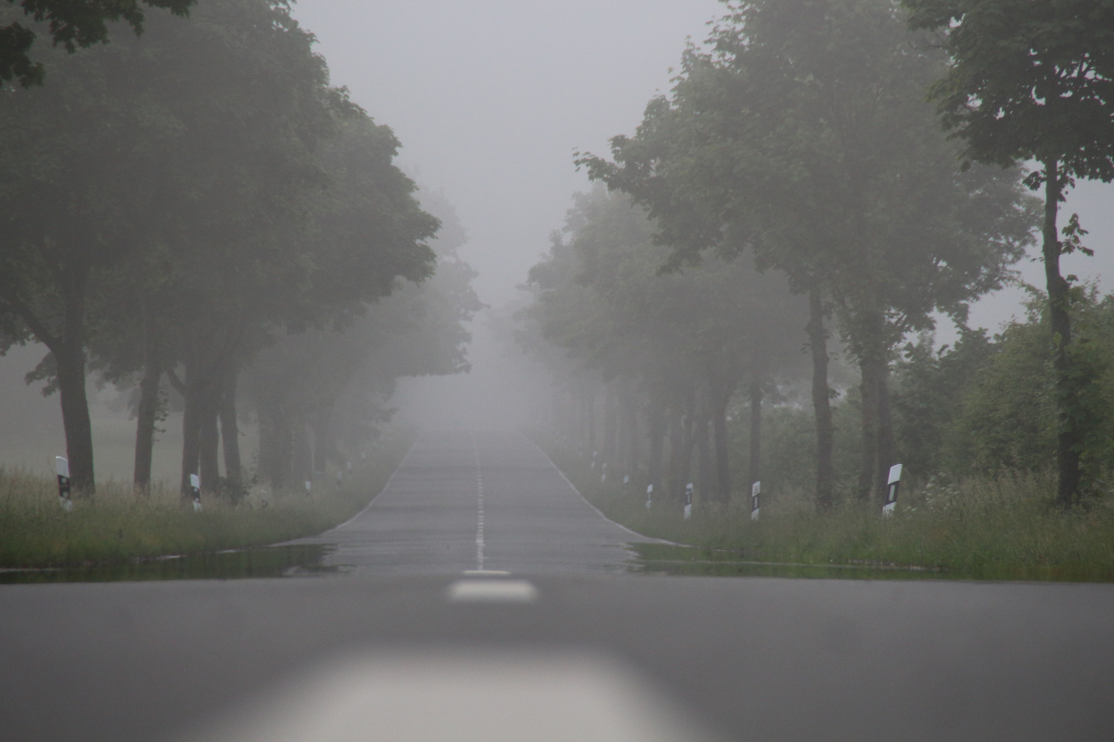 Straßenpoesie am Morgen