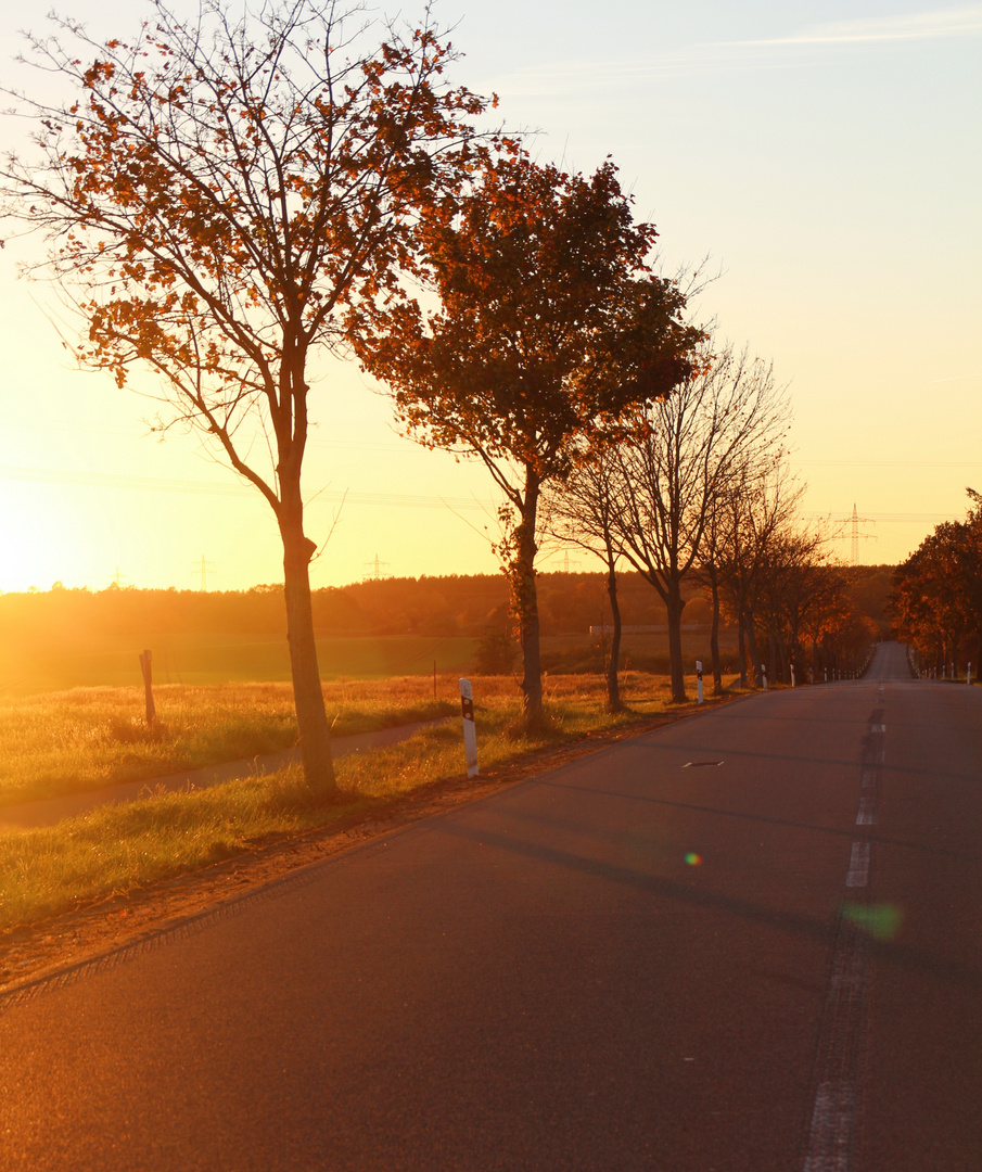 Straßenpoesie am Sonntag III