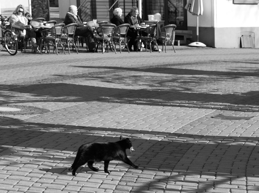 Strassenräuber, unauffällig