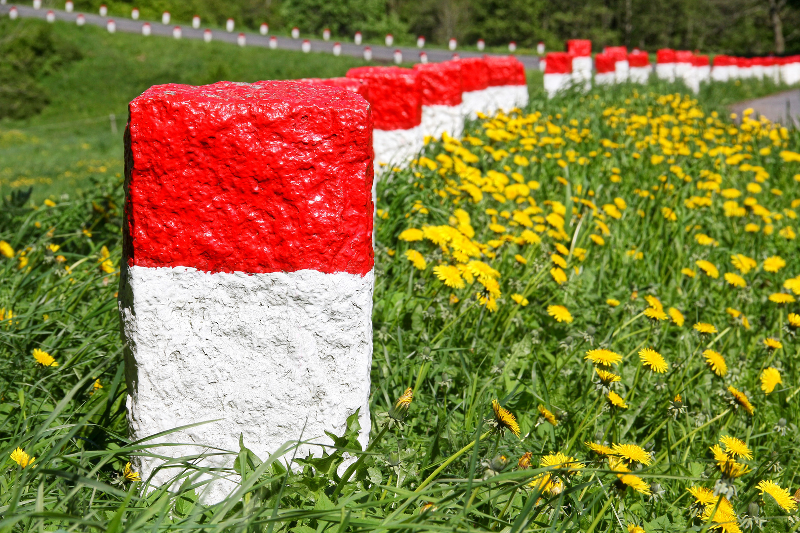 Strassenrand in Dänemark  -  wayside in Denmark