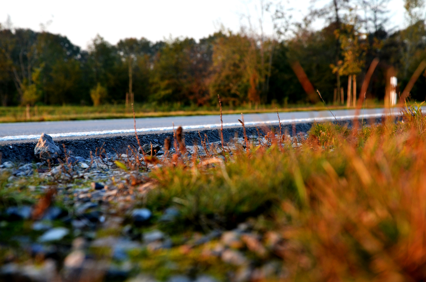 Straßenrand (Oktober 2011)