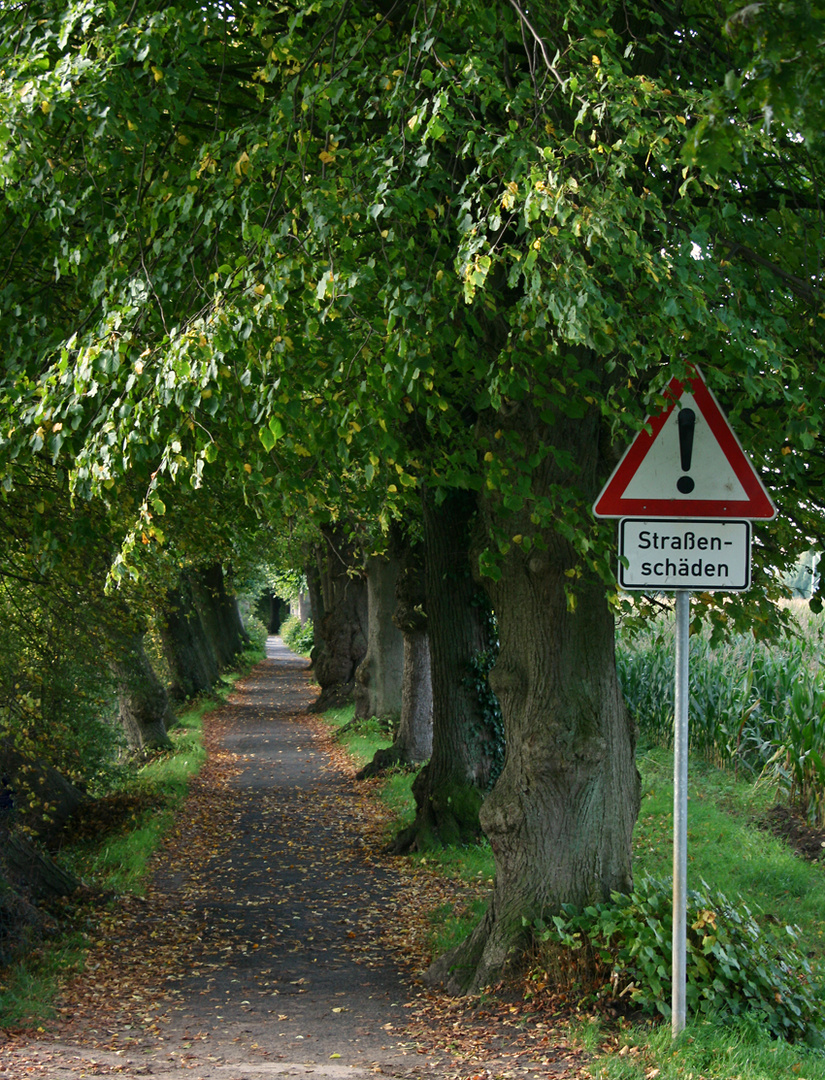 Straßenschäden