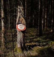 Strassenschild im Baum