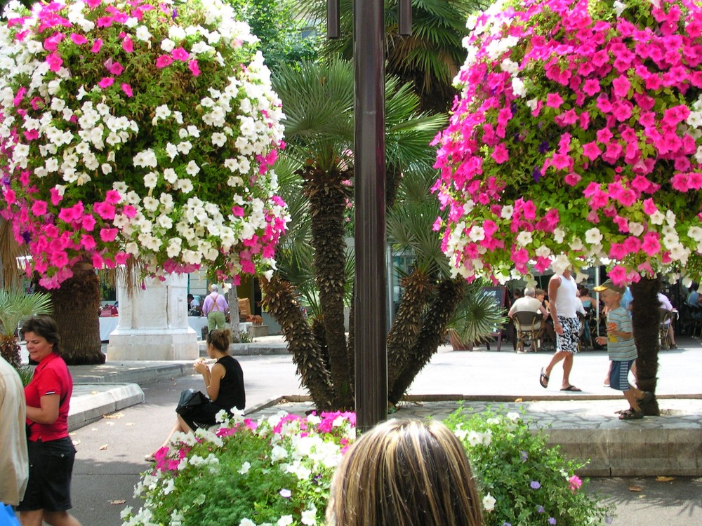 Strassenschmuck Antibes