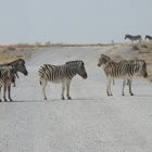 Straßensperre in der Etosha