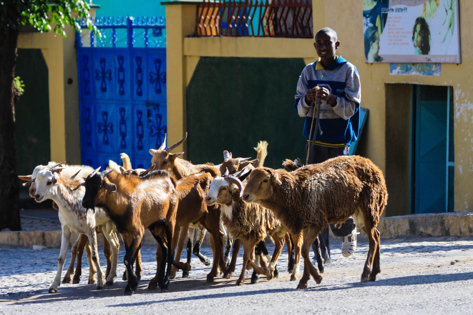 Strassenszene in Axum...