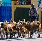 Strassenszene in Axum...