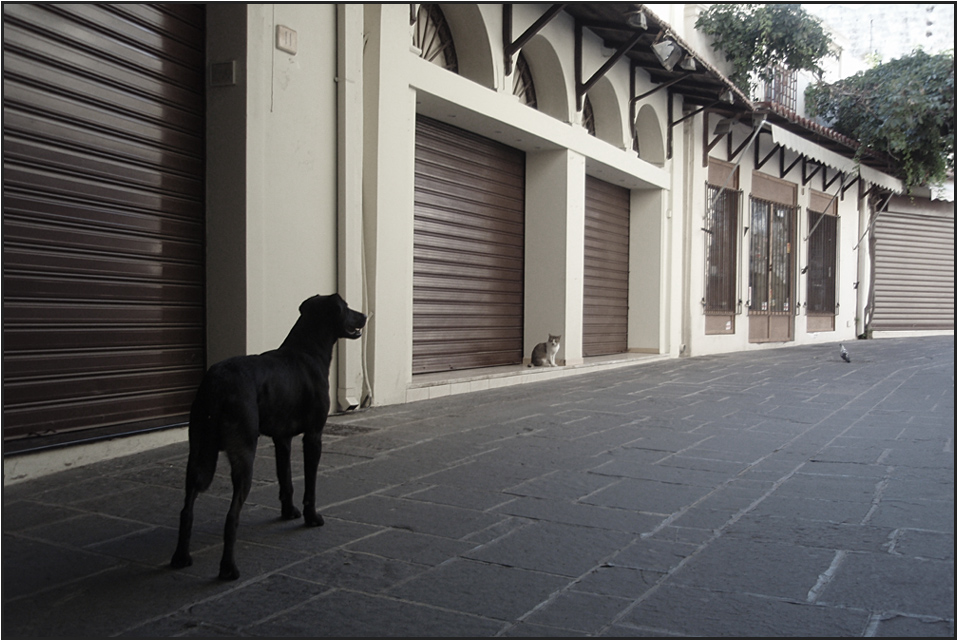 Straßenszene in der Altstadt von Rhodos