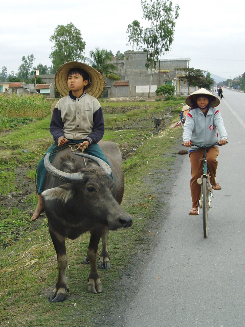 Straßenszene in der Nähe von Hai Phong - Vietnam