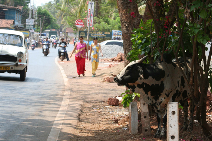 Strassenszene in Goa