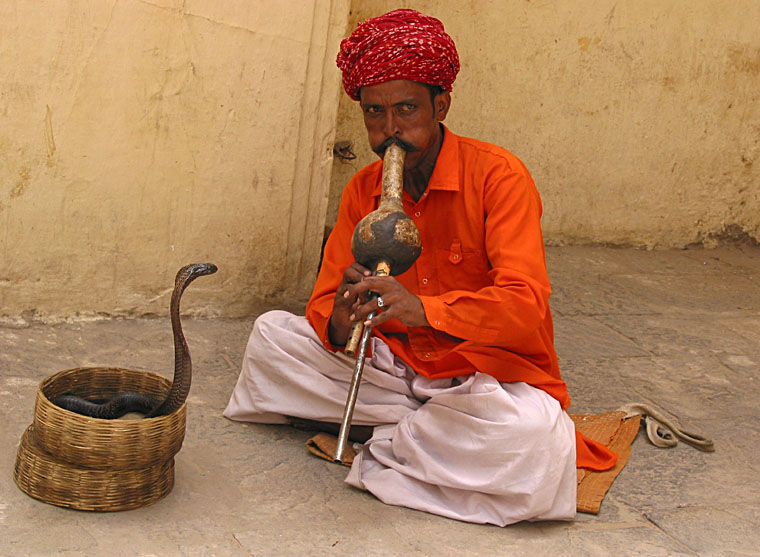 Straßenszene in Jaipur