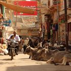 Straßenszene in Jaisalmer