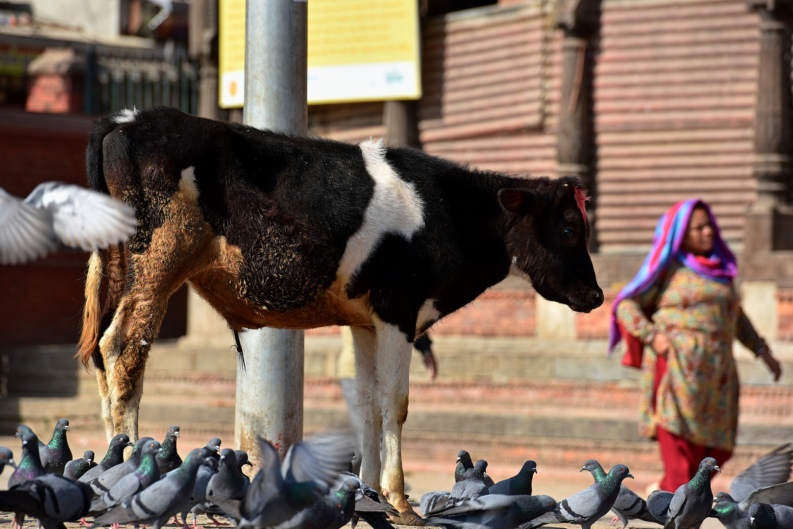 Straßenszene in Kathmandu 06