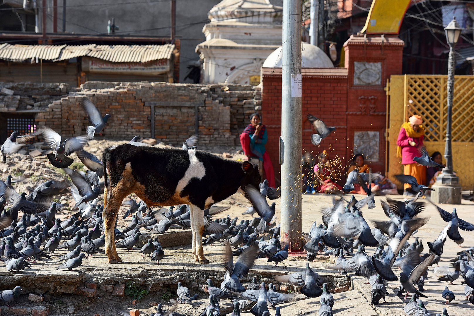 Straßenszene in Kathmandu 08