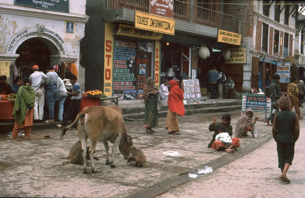 Straßenszene in Kathmandu