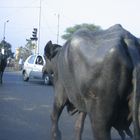 Straßenszene in Pune