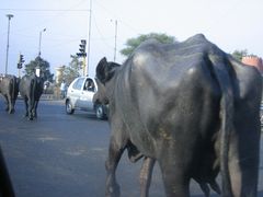 Straßenszene in Pune