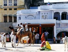 Straßenszene in Pushkar, Rajasthan