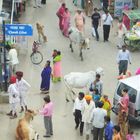 Straßenszene in Pushkar (Rajasthan) - Blick von unserem Hotelbalkon