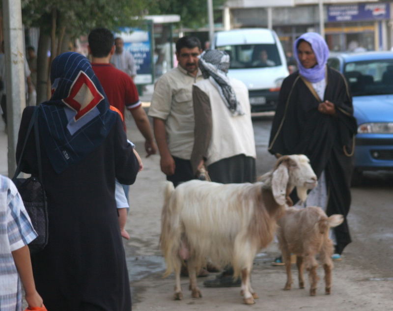 Strassenszene in Sanli Urfa