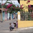 Straßenszene in Trinidad (Kuba)