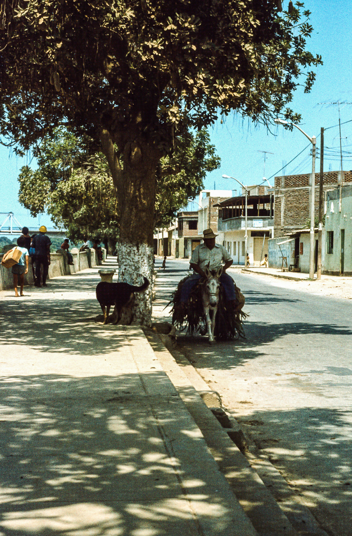 Straßenszene in Trujillo