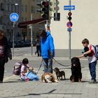 Strassenszene. Menschen (große und kleine) und Tiere in Harmonie.