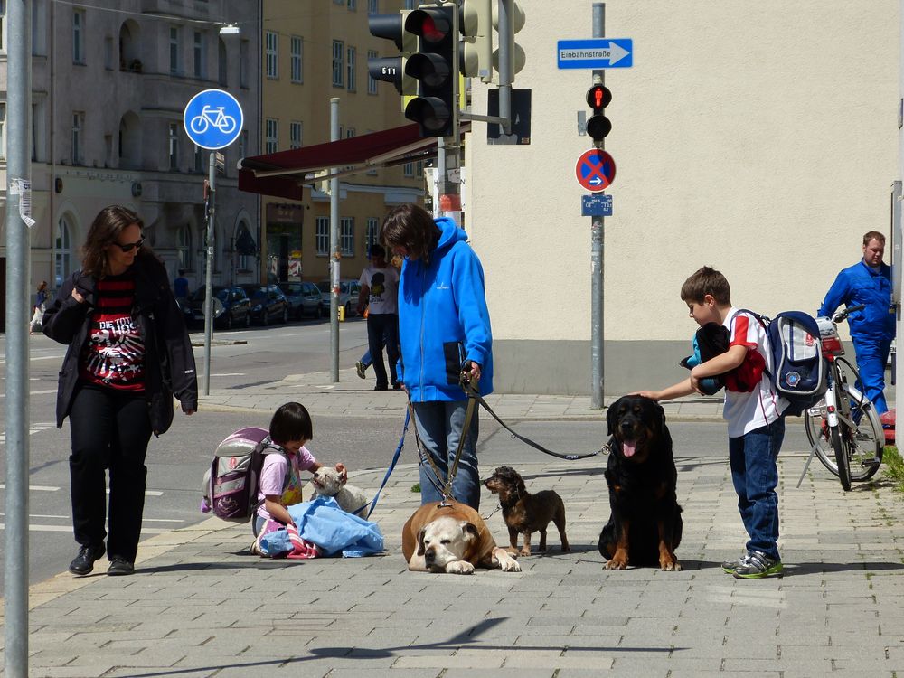 Strassenszene. Menschen (große und kleine) und Tiere in Harmonie.