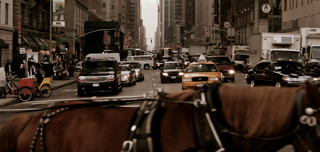 Straßenszene New York horse