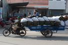 Strassenszene Siem Reap#1 by Andreas Berdan 