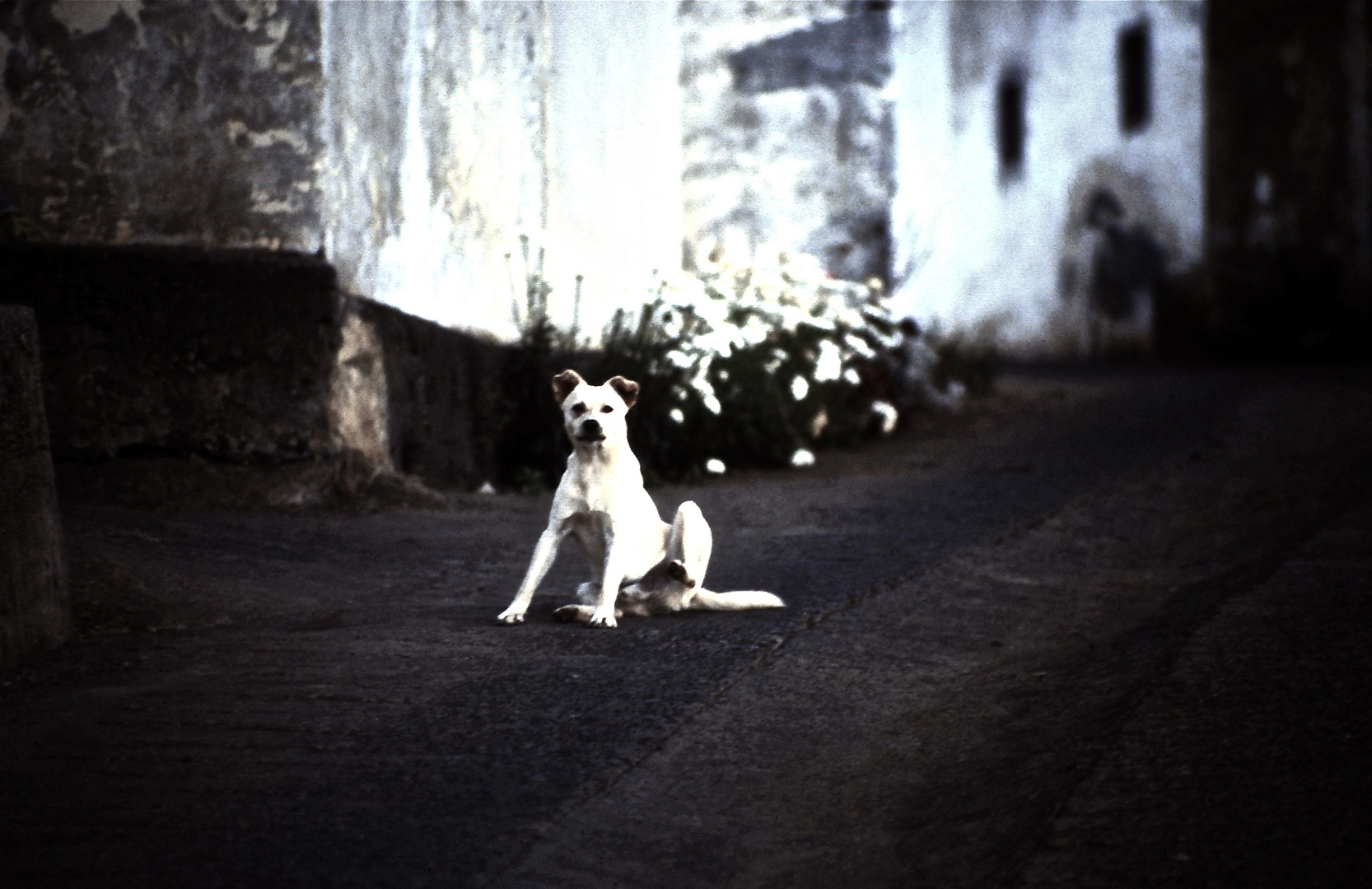 strassenszene von 1987, la gomera, valley gran rey