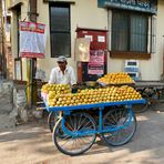 Straßenverkäufer in Nashik / Indien