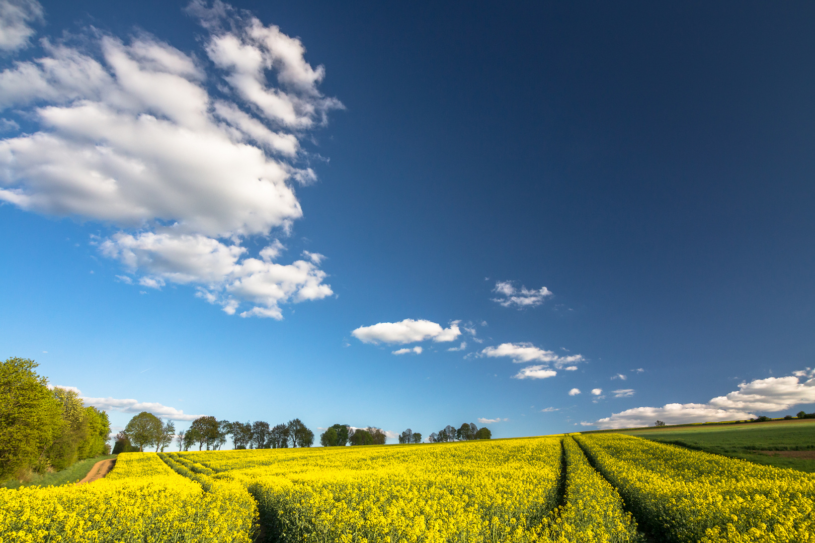 Strategisch im Feld gestanden