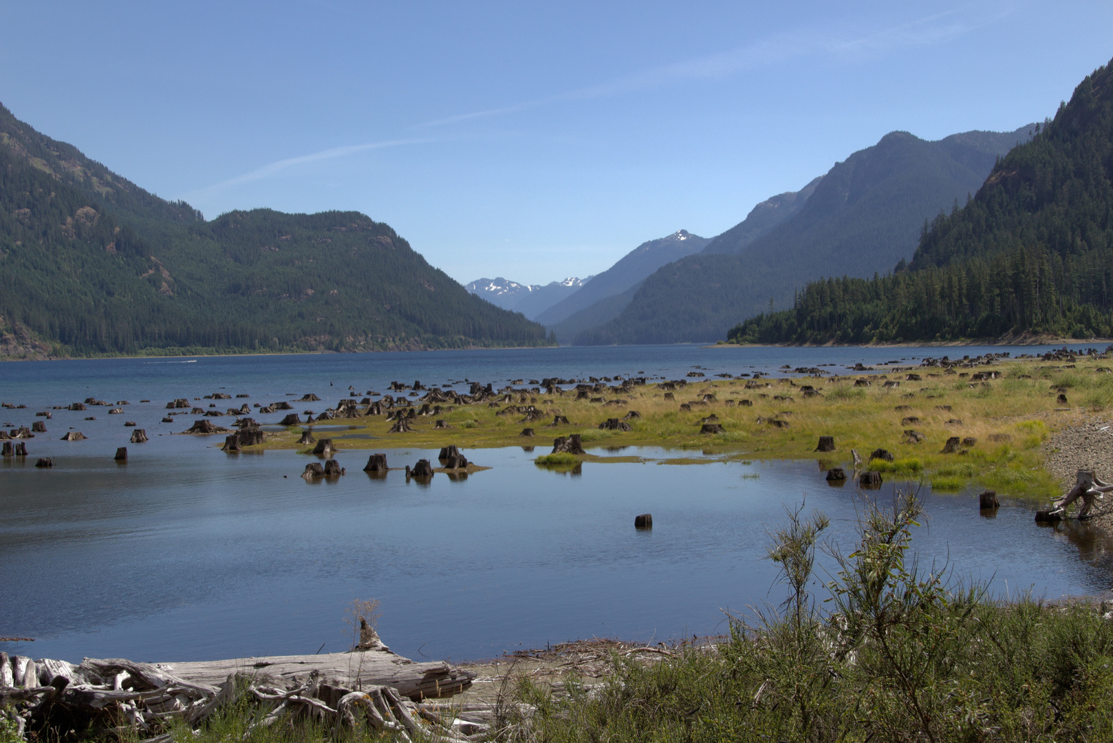 Strathcona Buttle Lake