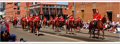 Strathcona Mounted Troop