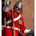 Strathcona Mounted Trooper