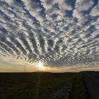                      ~ Stratocumulus Wolkenformation ~ 