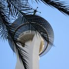 Stratosphere Las Vegas