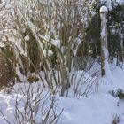 Strauch und Wegleuchte im Schnee 01