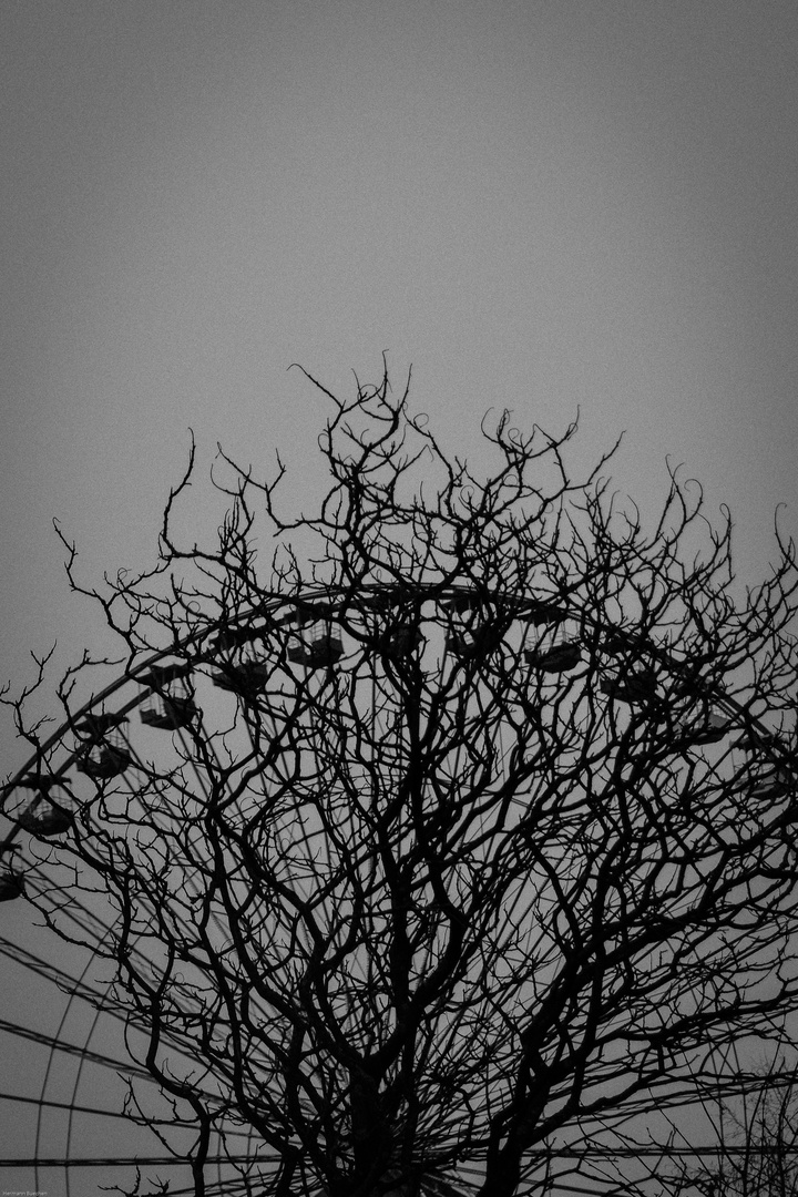 strauchelndes Riesenrad