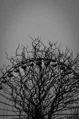 strauchelndes Riesenrad