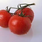 Strauchtomaten