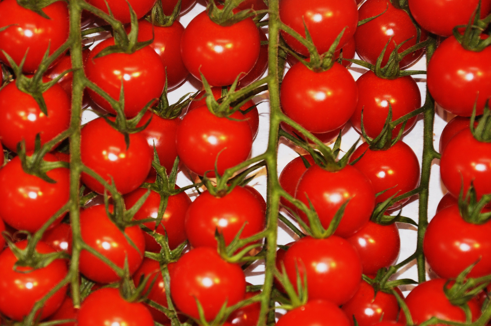 STRAUCHTOMATEN