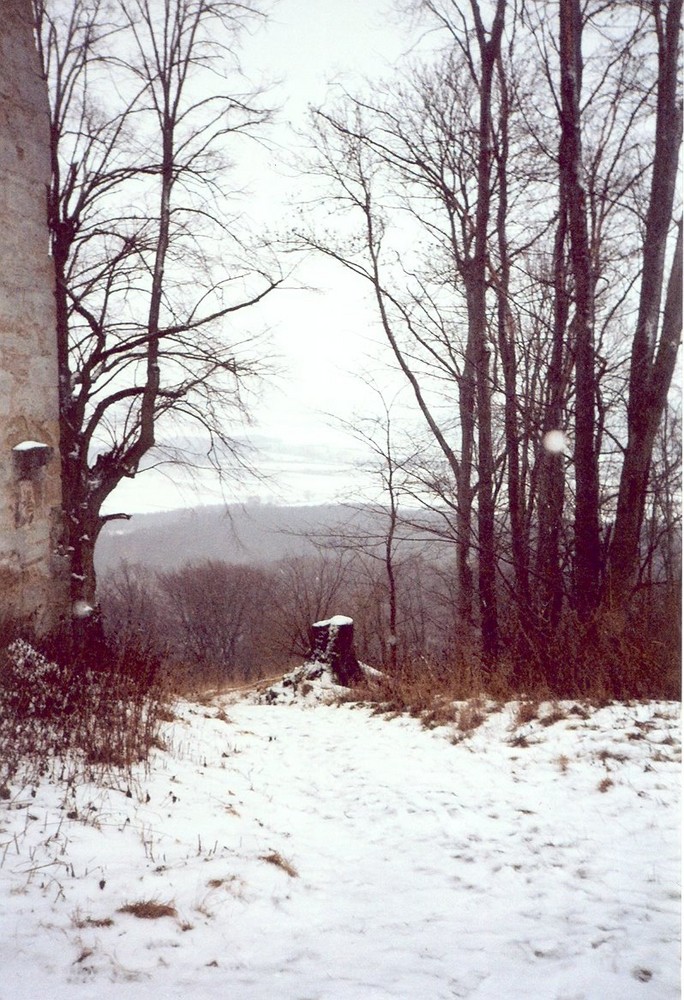 Straufhain im Winter