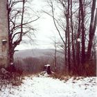Straufhain im Winter