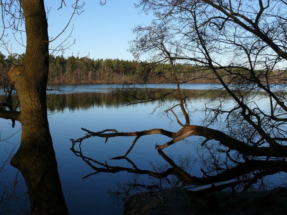 Straussee (Brandenburg)